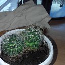 ���� ������ �������������, ������, 53 ���� - ��������� 17 ���� 2019 � ������ �������