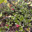  , -, 64  -  20  2019    