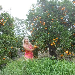 ���, ����, 50 ���