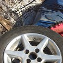 ���� ����, �������, 44 ���� - ��������� 28 ������ 2019 � ������ ������ ��������