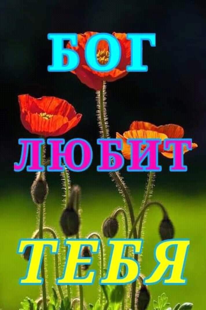  - 21  2019  20:11 - 3
