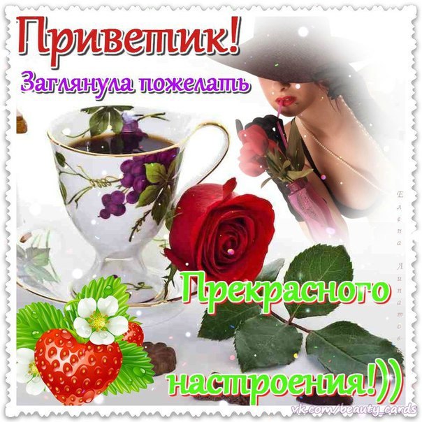   ,    . - 25  2019  13:56