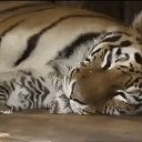 ���� ������, �������, 56 ��� - ��������� 30 ������ 2019 � ������ ���� ����������