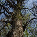 ���� ������, �����, 61 ��� - ��������� 27 ������ 2019 � ������ ����� ���������