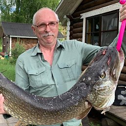 ������ ������, �����-���������, 69 ���