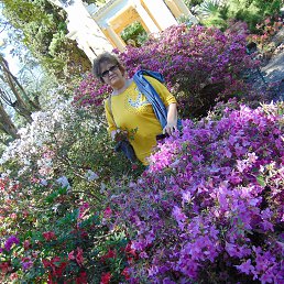 �����, ����, 67 ���