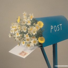 , , 42 