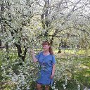 ���� ������, �����, 54 ���� - ��������� 3 ��� 2019 � ������ ���� ����������