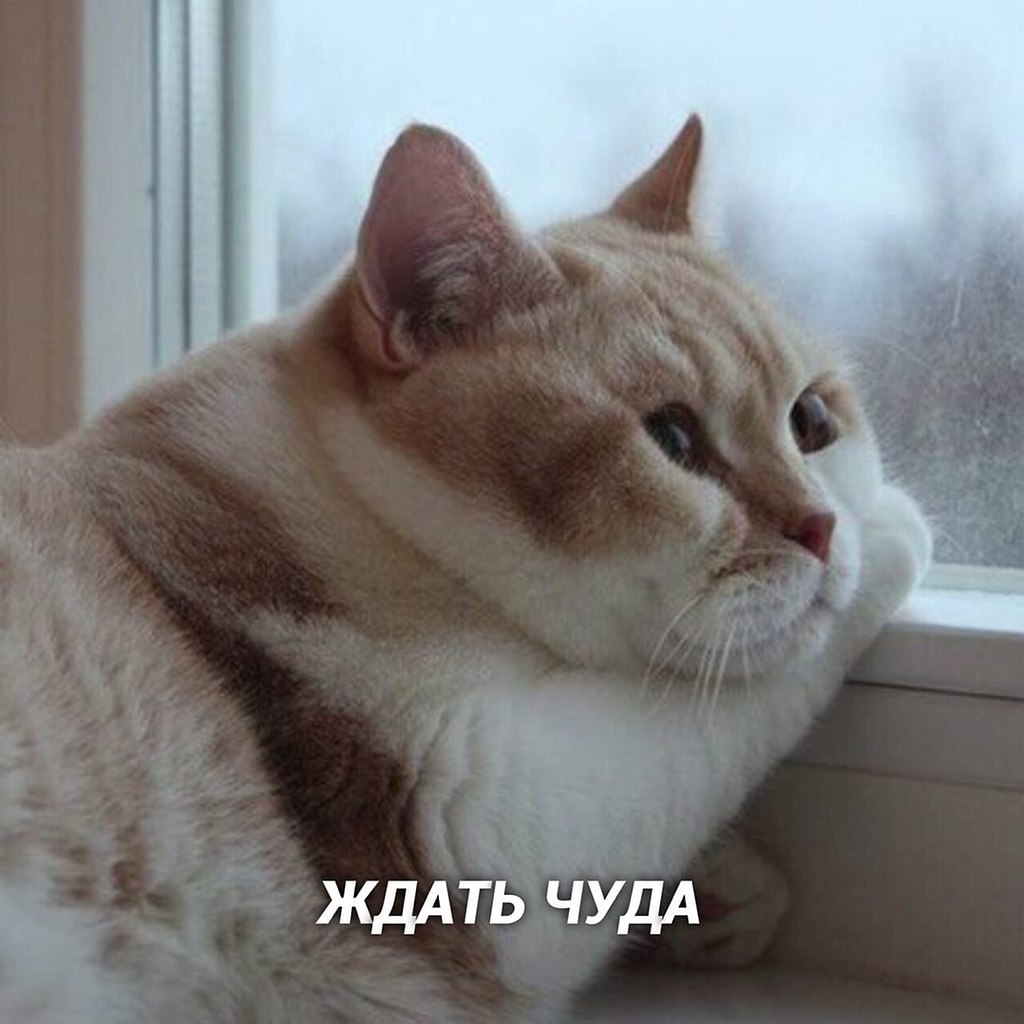  - o... - 6