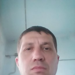 Maksim, 41, 