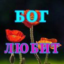 ,  -  21  2019    