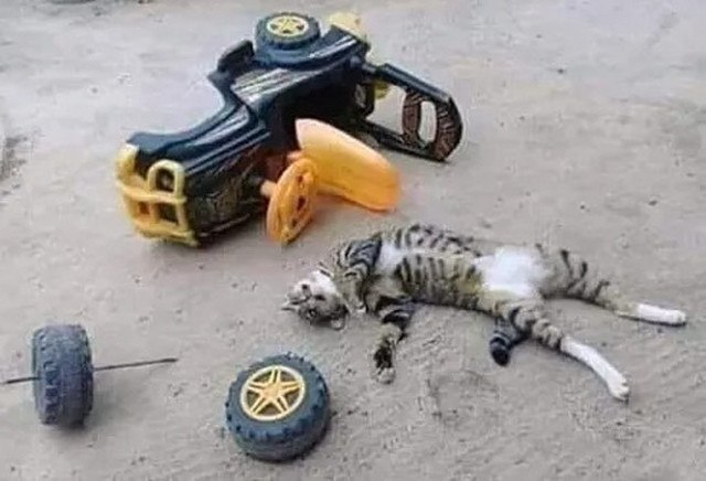  ,  !!!  !!!
