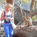 ���� Vesta, �������� - ��������� 24 ������ 2019 � ������ ����