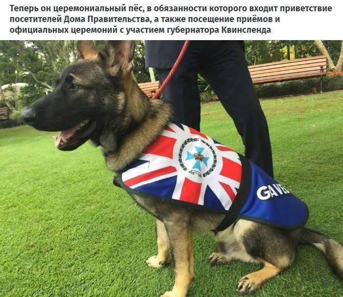 oo ca o  o o o coeeo o e... - 6