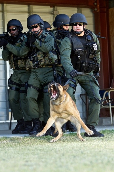 ��������� ������. - 17