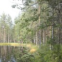 ���� �����, ������������ - ��������� 22 ������� 2019