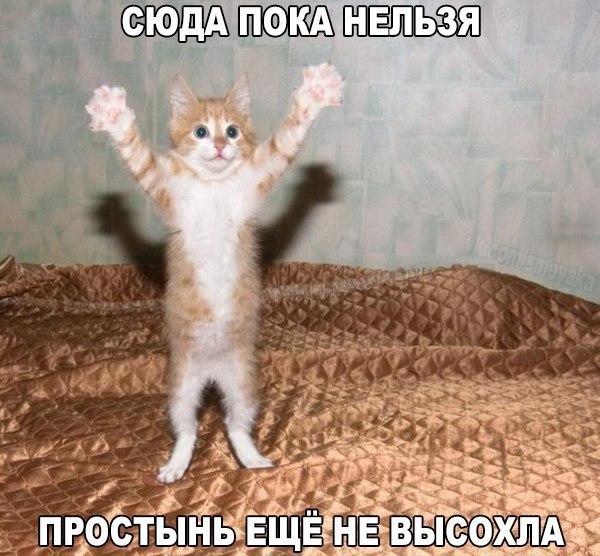   ! - 11  2019  14:08