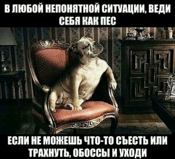 ***Victoria Viktorovna*** - 27  2019  13:15