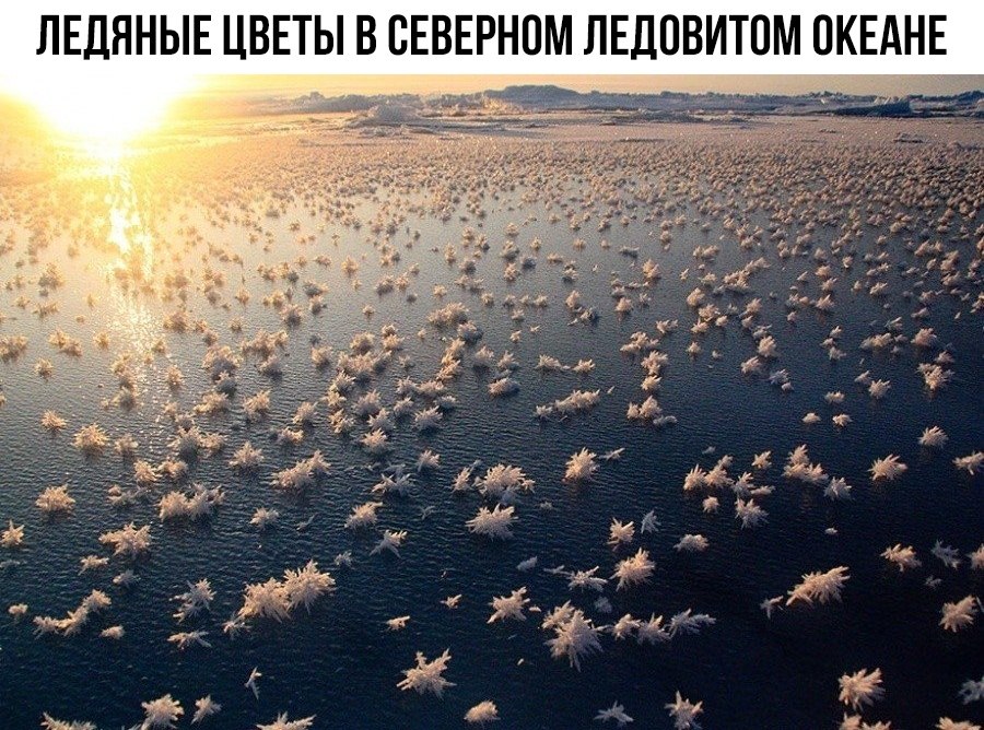    ! - 2  2020  20:38