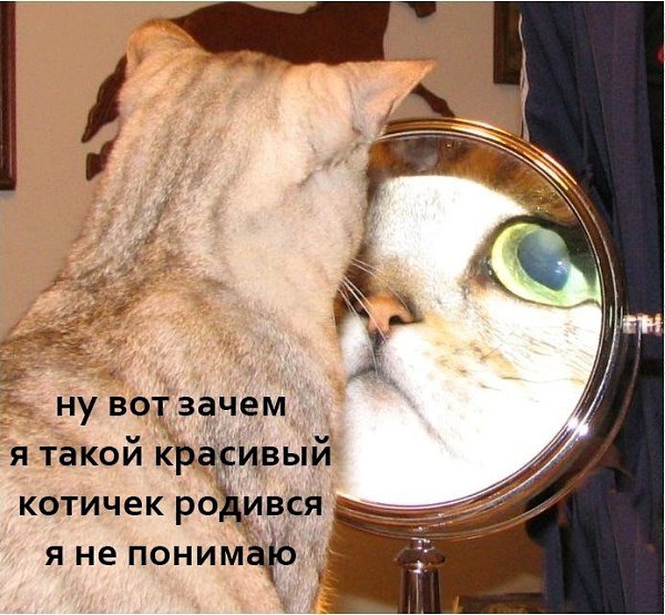     ,    