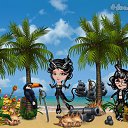 ���� ���������, ���������, 34 ���� - ��������� 25 ������� 2019 � ������ �Tropikania�