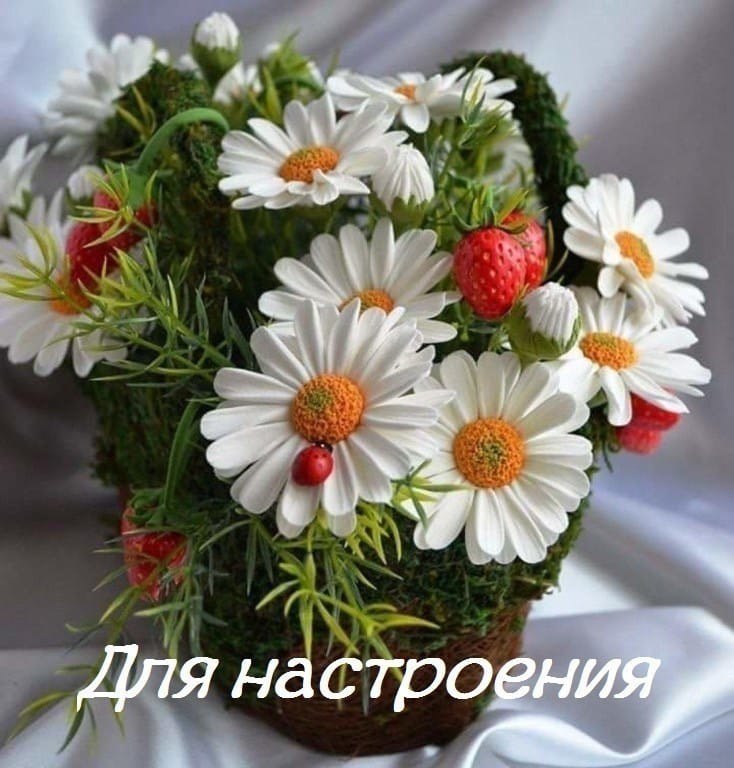   ,    . - 31  2019  21:57