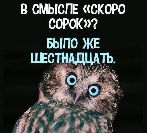   ,    . - 29  2019  16:34