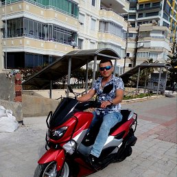 �����, �������, 37 ���