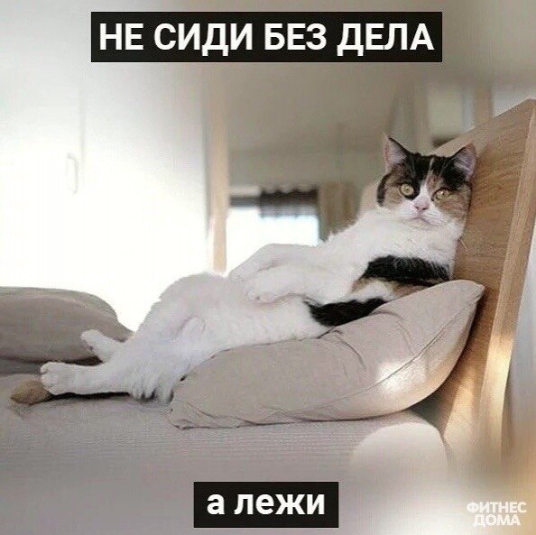 o���� ���� �o������� �a ���o���� ����