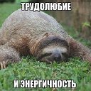 ���� �����, ����������� - ��������� 10 ��� 2019 � ������ ���� ����������