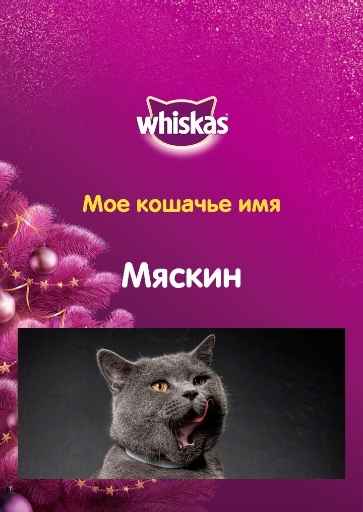      !       Whiskas  ...