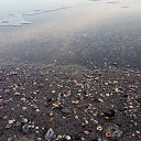���� Stanislav, ������ - ��������� 16 ������� 2019 � ������ ������ ��������