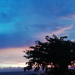 ���� �������, ���������, 44 ���� - ��������� 27 ��� 2019