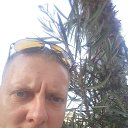 ���� �������, �����-���������, 43 ���� - ��������� 2 �������� 2019 � ������ ������ ��������