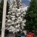 ���� ������, �����������, 66 ��� - ��������� 28 ������ 2019 � ������ ���� ����������