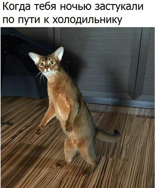    - 20  2019  03:29