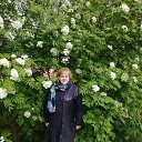 ���� ����, ������, 69 ��� - ��������� 19 ���� 2019 � ������ ���� ����������