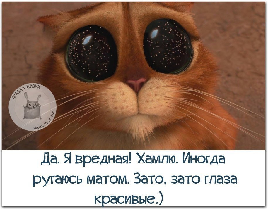  - 20  2019  17:54