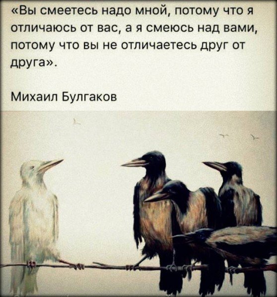     ...  ...