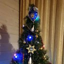  ,   , 47  -  24  2019    