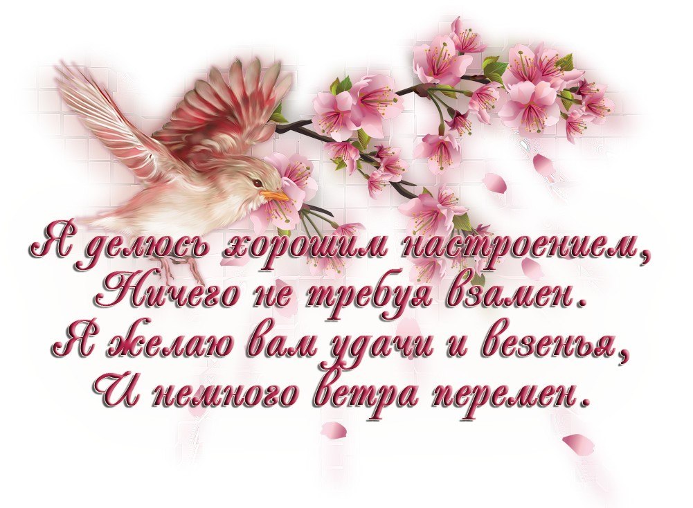   ,    . - 10  2019  21:17