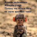 ���� �������, �����-��������� - ��������� 11 ���� 2019 � ������ ���� ����������