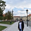 ���� ������, ���������, 49 ��� - ��������� 1 ���� 2019 � ������ ���� ����������