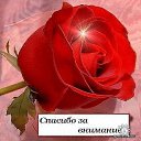 ���� �����, ������, 45 ��� - ��������� 11 ������ 2019 � ������ ���� ����������