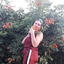 ���� ��������, ���������, 57 ��� - ��������� 27 ������� 2019 � ������ ���� ����������