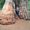 Sequoia National Park. California, USA   Travels