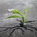  ••,  -  11  2019       ...