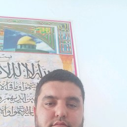 ����, ���������, 41 ���