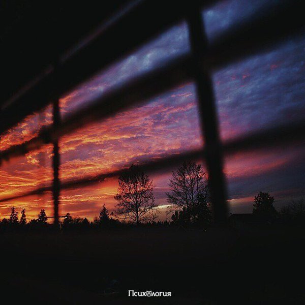      ,       ,       . a. ...