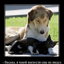 ���� ����, ��������, 42 ���� - ��������� 23 ��� 2019